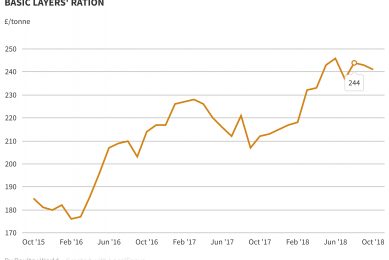 Markets: Feed markets hold steady