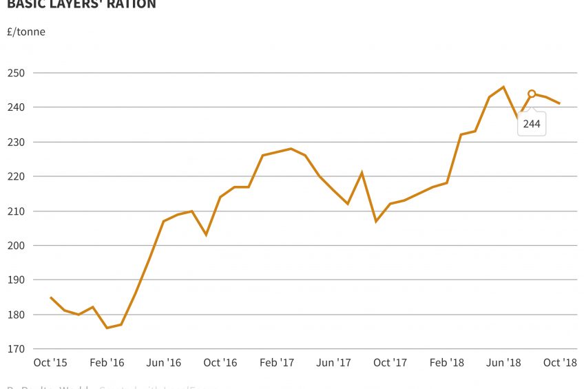 Markets: Feed markets hold steady