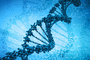 Research: Identifying animal-to-human transmitted diseases
