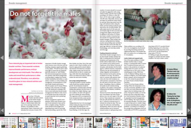 Sneak preview of the next World Poultry magazine