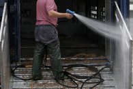 UK: Defra offers biosecurity advice following AI case