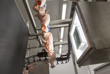 Canada invests over $30 million in food safety