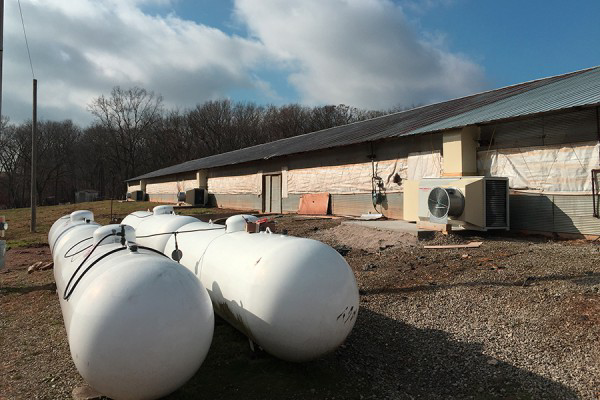 Recycling heat economically in the poultry house