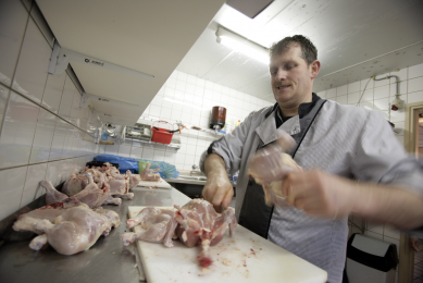 FSA publishes campylobacter survey results