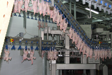 Food safety starts at the origin