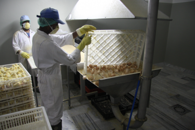 Responsible disposal of hatchery waste