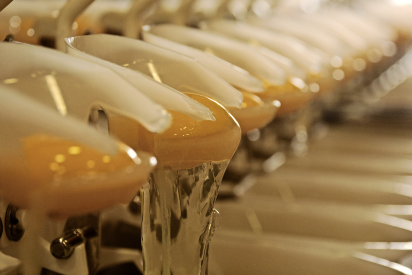 Dynamics and patterns of global egg processing and trade
