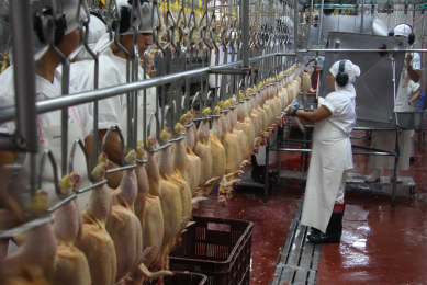 Boosting performance through production and plant partnership