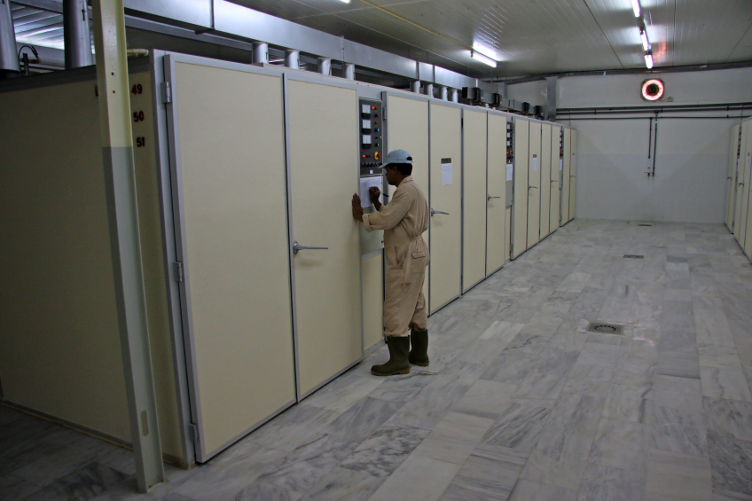Determining incubation profiles