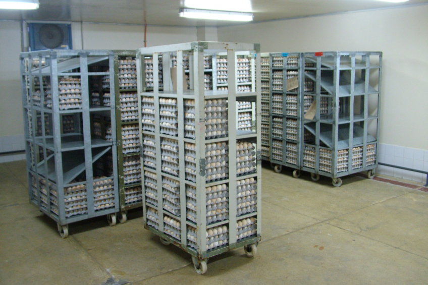 Vital chicks from properly stored eggs