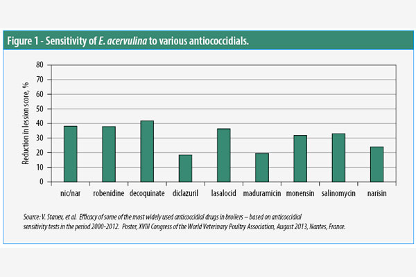 AST to improve coccidiosis management