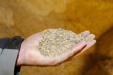 The impact of phytate as an anti-nutrient in poultry diets