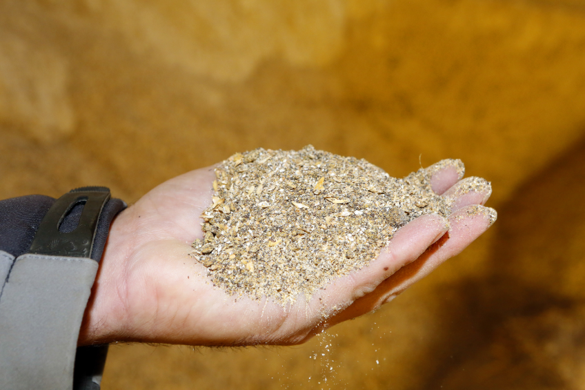 The impact of phytate as an anti-nutrient in poultry diets