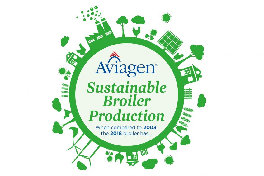 Sustainable broiler production: Building a greener future