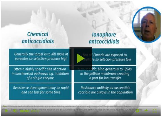 Video 3: Evaluating chemicals for coccidiosis control and prevention
