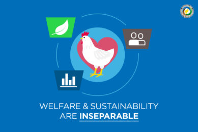 Breeding for welfare and sustainability is good business