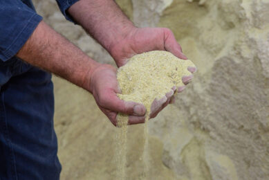 The Brazilian government attempts to calm down the sector, which has been asking for tax cuts on grain imports. Photo: Peter Roek