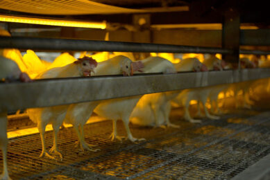 Photo: Hotraco Agri