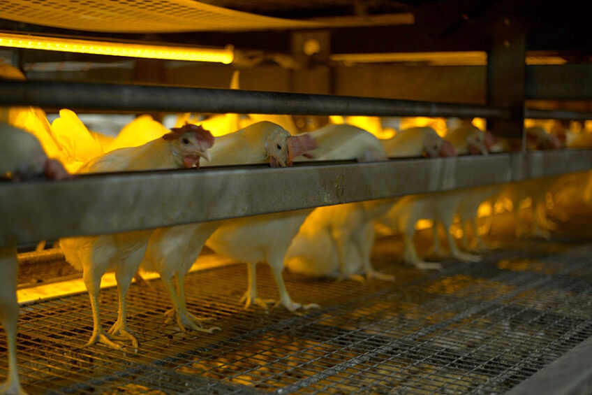 Photo: Hotraco Agri