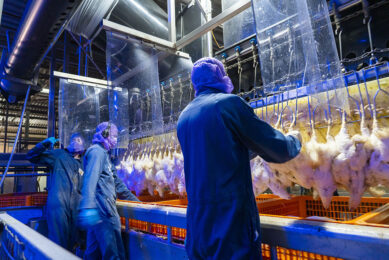 In recent years, Banham Poultry has seen some substantial funds, totalling up to £11 million, to improve its processing plant. Photo: Ruud Ploeg