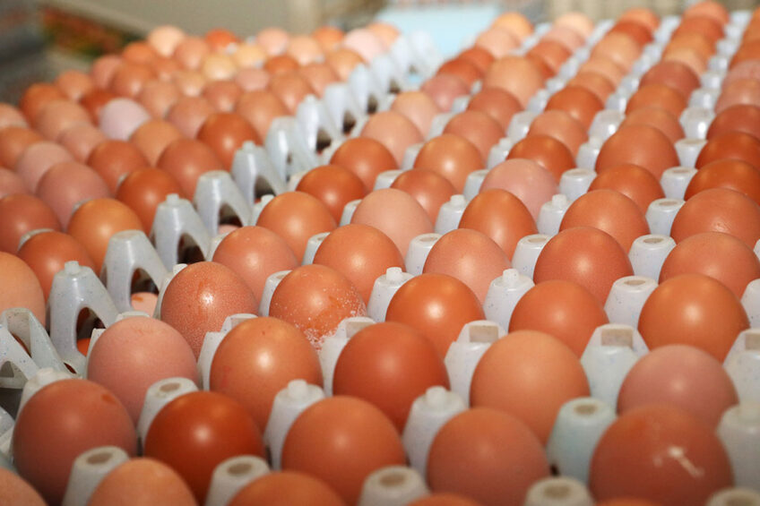 Protests against Colombian president Ivan Duque have led to blocked roads, affecting poultry production and supply throughout the country. Photo: Henk Riswick
