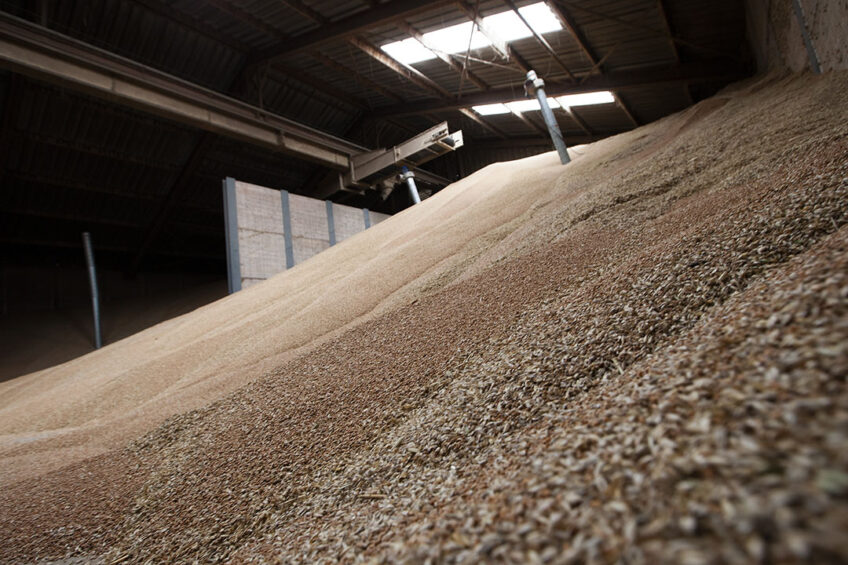 Rising feed costs are just one of the factors causing an upward trend in Russian poultry production costs. Photo: Hans Banus