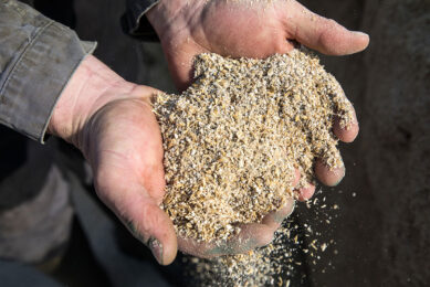 The import of coccidiostats to Ukraine stopped in May of 2021. Photo: Herbert Wiggerman