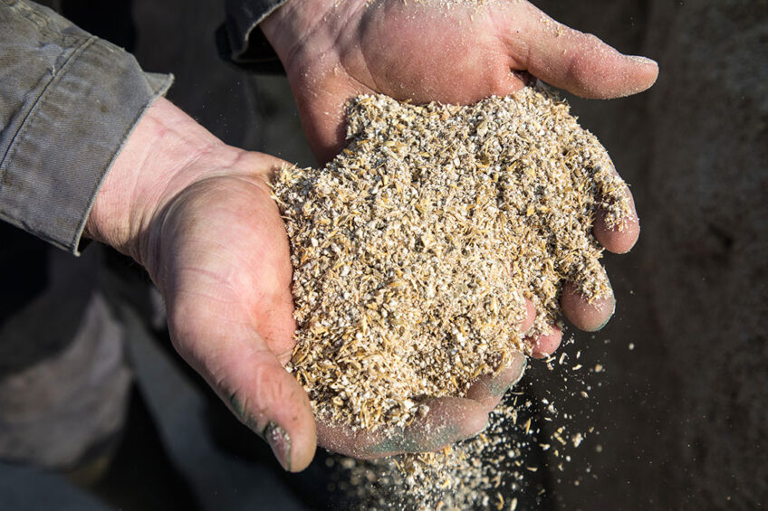 The import of coccidiostats to Ukraine stopped in May of 2021. Photo: Herbert Wiggerman