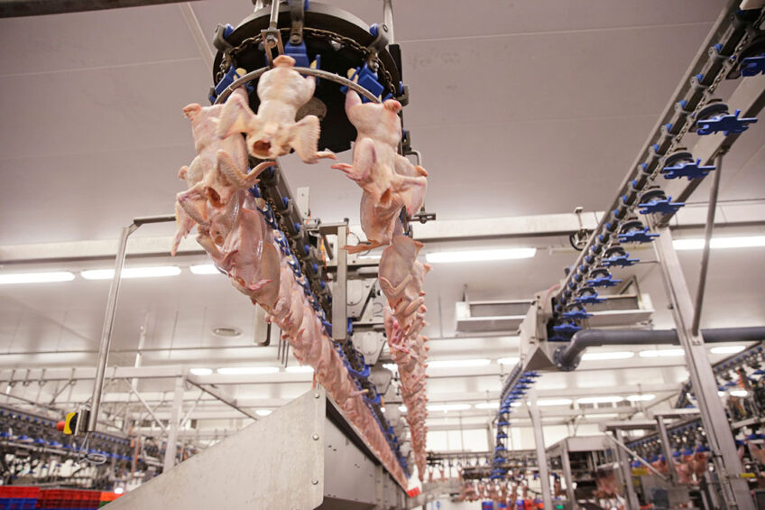 Last week, BRF (Brazil Foods) announced their commitment to reach Net Zero greenhouse gas (GHG) emissions by 2040, both in its operations and in its production chain. - Photo: Michel Zoeter