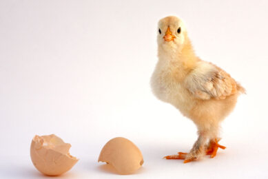 Photo: Dreamstime