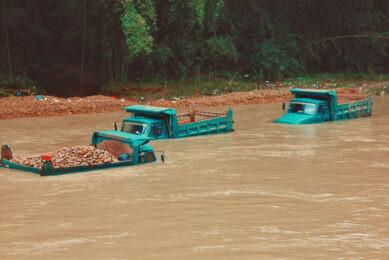 Economic losses from the recent floods in Henan are estimated at US$	 348 million for China s poultry and livestock industries. Photo: Jéan Béller