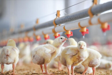 Photo: Ceva Sante Animale