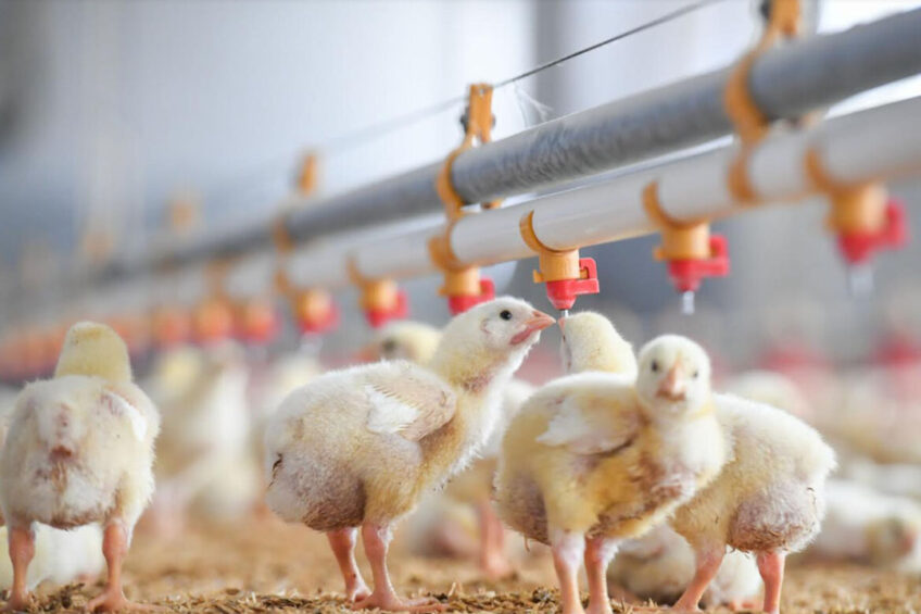 Photo: Ceva Sante Animale