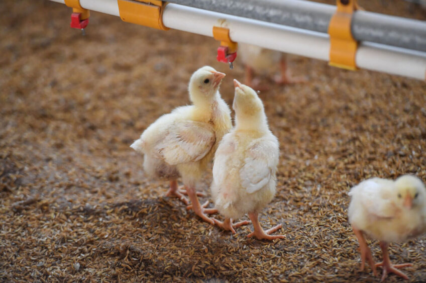 Photo: Ceva Sante Animale