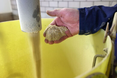 The EU Commission will also re-authorise the use of insect-derived PAPs for pig and poultry feeds. Until now, only the use of insect oils has been allowed in animal feeds and insect protein in fishmeal. Photo: Bert Jansen