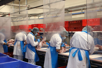 The British Poultry Council said his members were already having to cut back on production because of a lack of staff. Photo: Henk Riswick