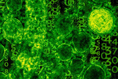 A research team at the University of Georgia gathered and analysed vast amounts of data to determine the likely origins behind the global spread of Salmonella Enteritidis. Photo: Dr StClaire