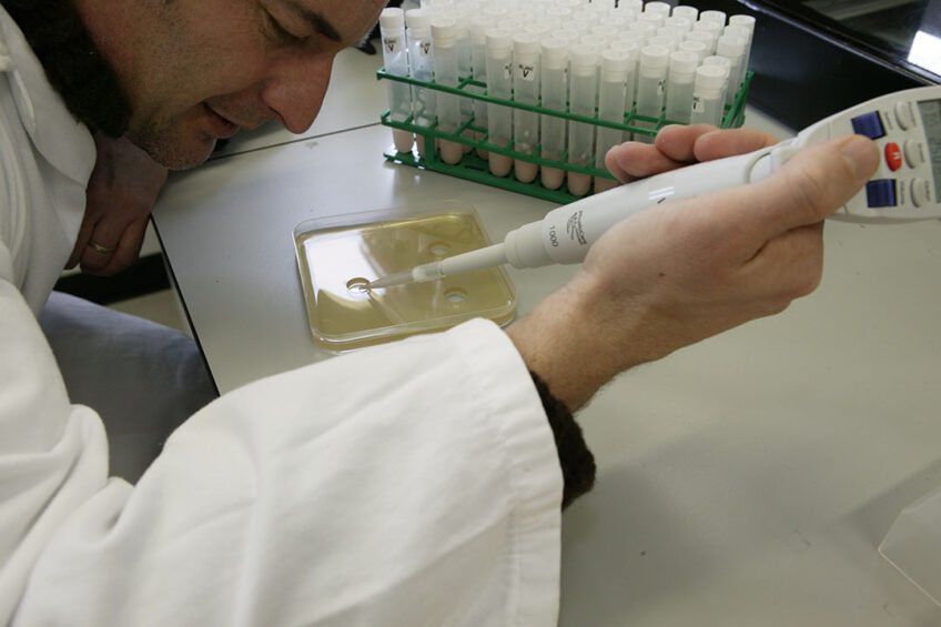 Studies on the impact of antibiotic reduction strategies are needed to show the impact on resistance of important organisms. Photo: Henk Riswick