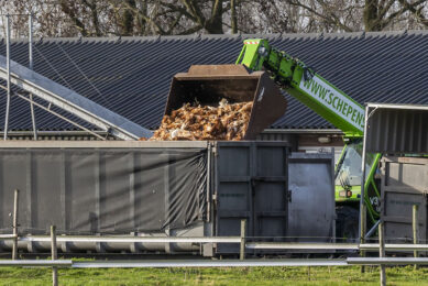 UK chief veterinary officer, Christine Middlemiss, confirmed that avian influenza had been identified in captive birds at a wild bird rescue (stock photo). Photo: Bert Jansen