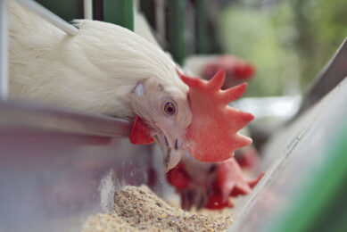 Photo: Acadian Seaplants