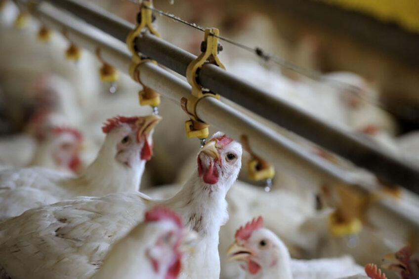 Photo: Ceva Animal Health