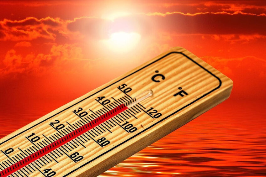 Uruguay recorded temperatures of over 40°C in January. Photo: Geralt