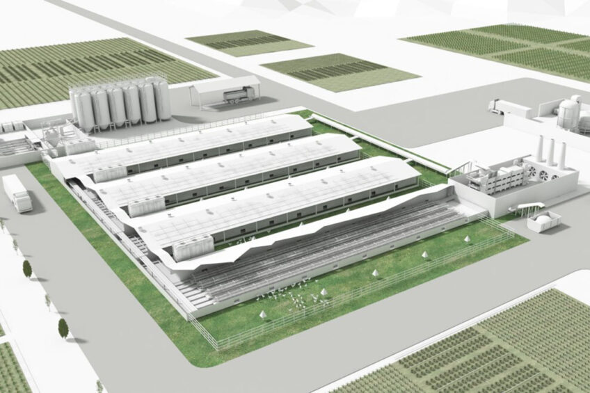 Ventilation is a critical component in intensive poultry production. Controlling ventilation fans with variable speed drives boosts safety, productivity and sustainability. Photo: ABB