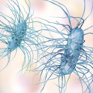 Photo: Shutterstock