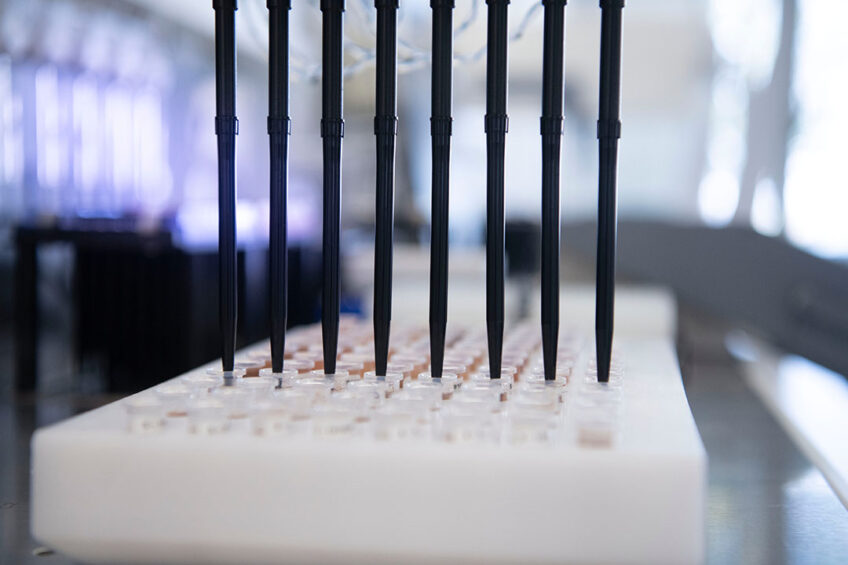 Researchers report promising results in the fight against superbug infections on poultry farms, which could have wider implication for human health. Photo: Mark Pasveer