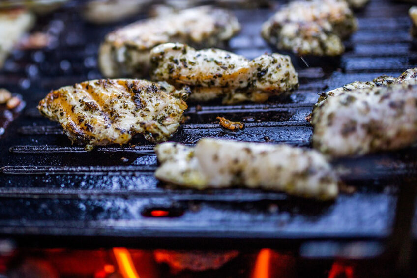 Chicken meat production has more than doubled in Australia in the past 20 years, from 600,000 mt to 1.25 million mt. - Photo: Benjamin Balazs
