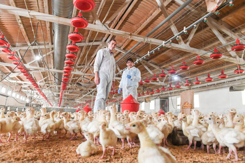 Photo: Ceva Sante Animale
