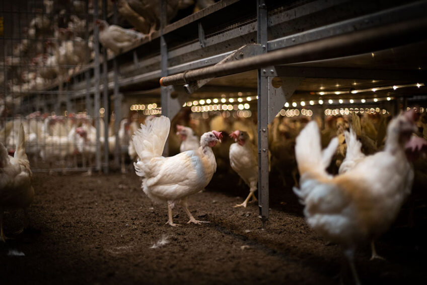 Photo: Hotraco Agri