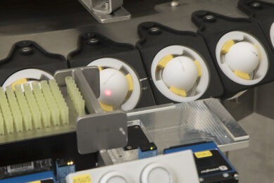 The stage of embryo development at which the in-ovo screening is performed is as important to the technologists as it is to the consumers. Photo: Koos Groenewold