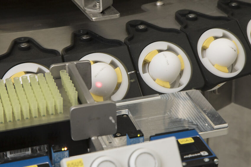 The stage of embryo development at which the in-ovo screening is performed is as important to the technologists as it is to the consumers. Photo: Koos Groenewold